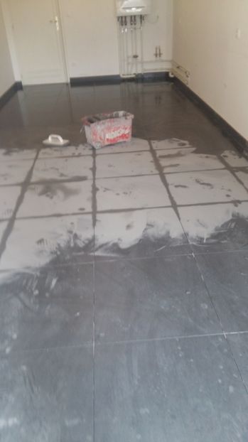  - Photo lucrarile mele in Lyon