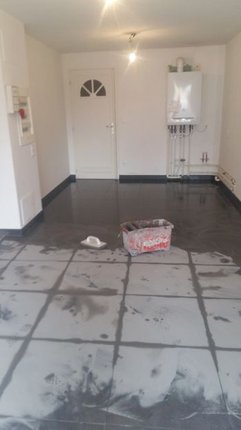  - Photo lucrarile mele in Lyon