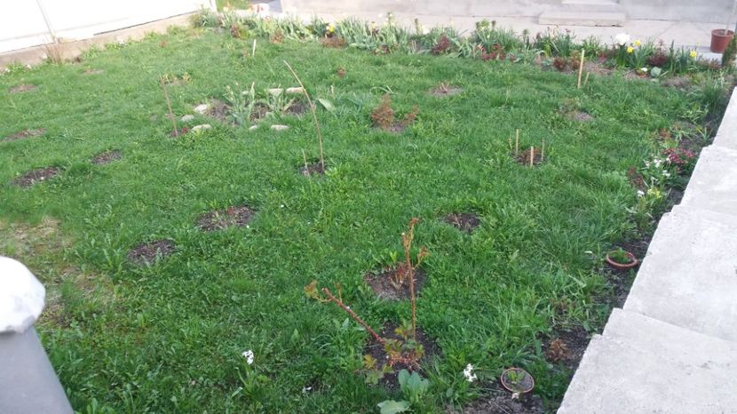  - Primavara lui Aprilie