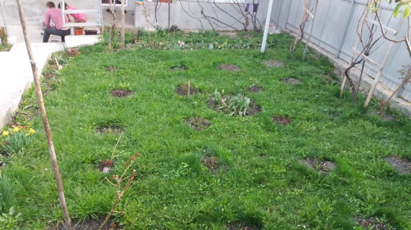  - Primavara lui Aprilie