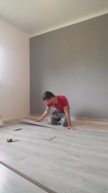  - O casa in renovare langa Lyon