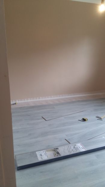  - O casa in renovare langa Lyon