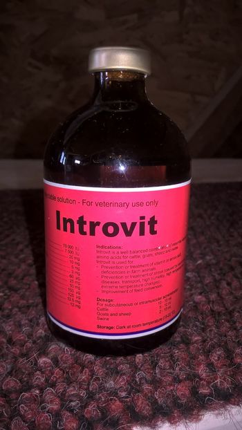 Vitamine injectabile - Medicamente si vaccinuri