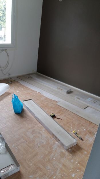  - O casa in renovare langa Lyon