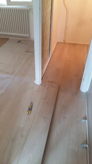  - O casa in renovare langa Lyon