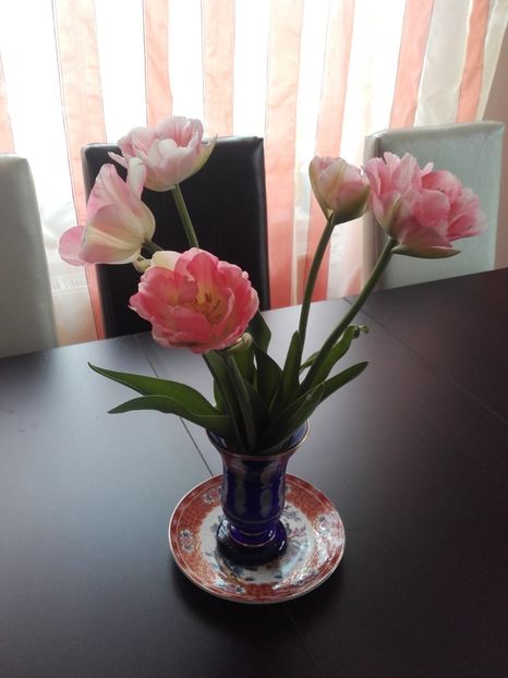 lalele din gradina - 2017