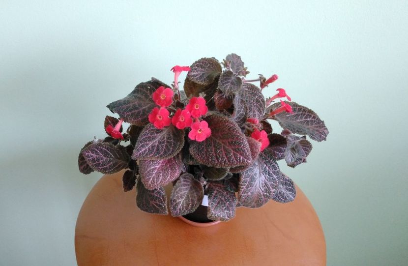 04.05 - Kee-Wee 2016 - 2017