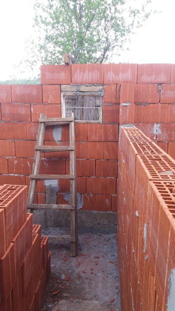  - VOLIERA MEA MODESTA