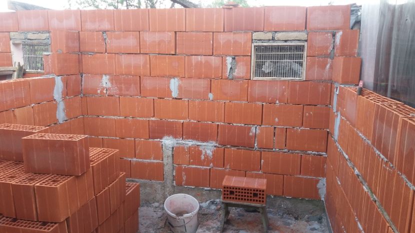  - VOLIERA MEA MODESTA