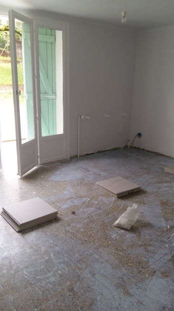  - O casa in renovare langa Lyon