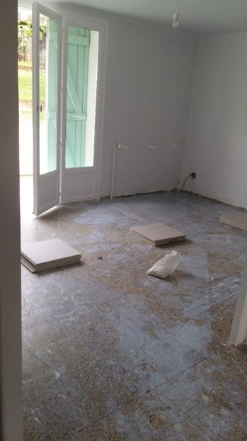  - O casa in renovare langa Lyon