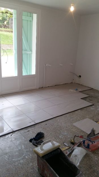  - O casa in renovare langa Lyon