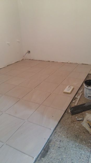  - O casa in renovare langa Lyon