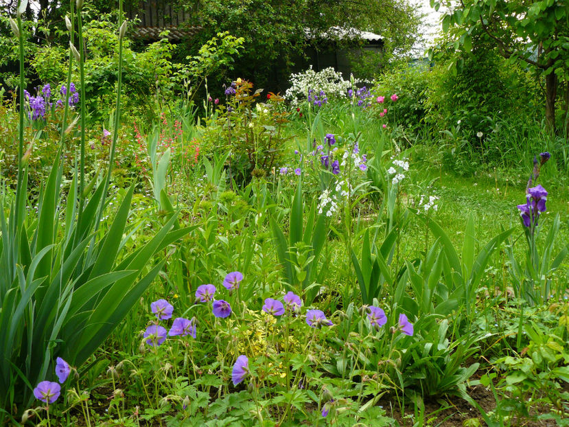 Idilic Garden 5 Mai 2017 - 2017 Mai_Idilic Garden