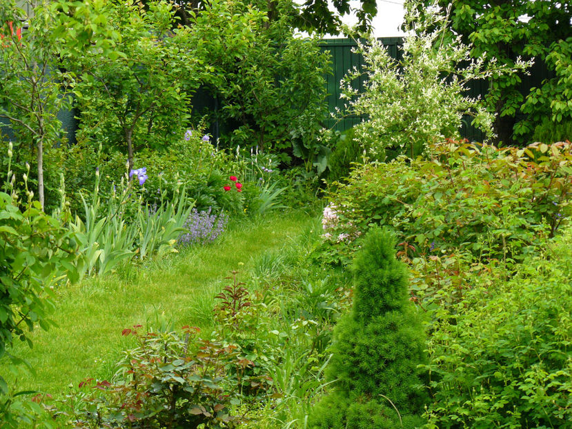 Aleea Bujorilor inainte de start ! - 2017 Mai_Idilic Garden