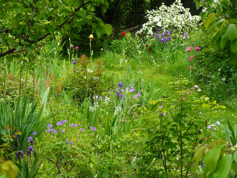 Idilic Garden view - 2017 Mai_Idilic Garden