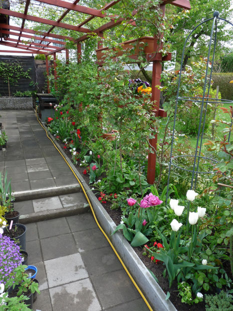 P2080106 - 2017 - 01 - Primavara