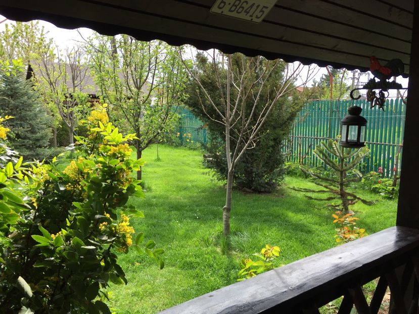  - 0021 GRADINA IN 2017
