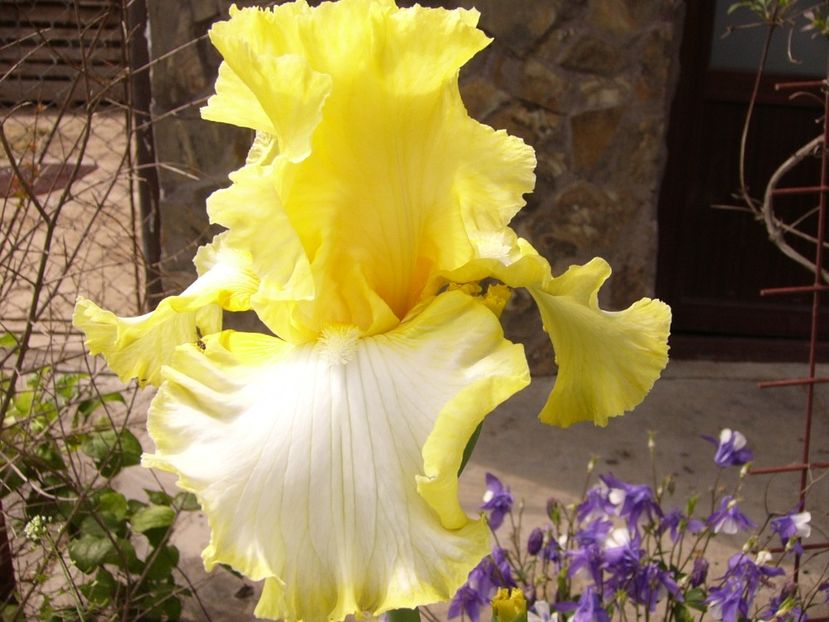 P1300864 - ANUL 2017 II