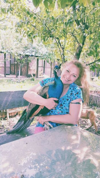 frumoul meu tinerel - CONTACT