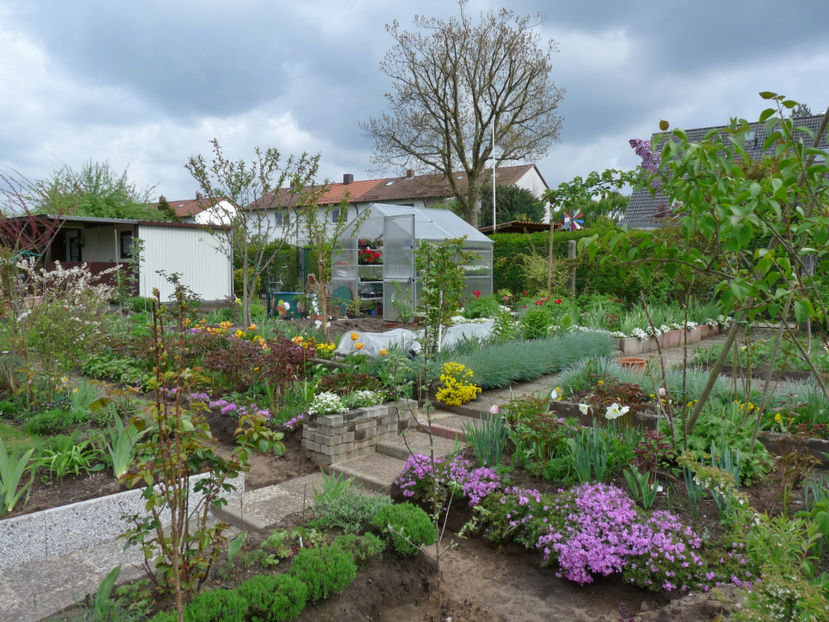 P2080183 - 2017 - 01 - Primavara