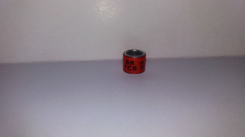  - Inele Brazilia - 33 pieces