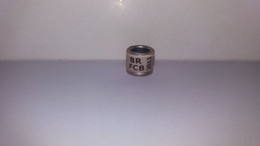  - Inele Brazilia - 33 pieces