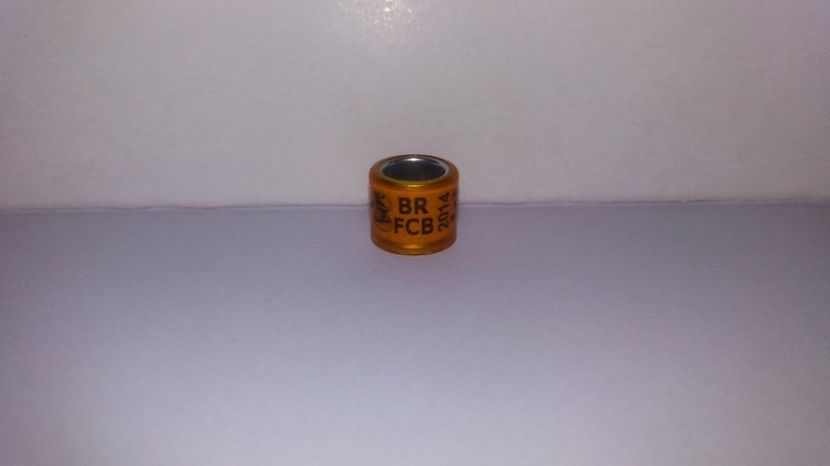  - Inele Brazilia - 33 pieces