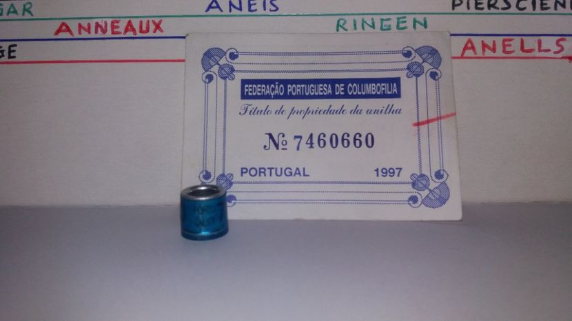  - Inele Portugalia - 51 piese