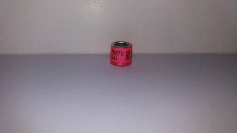  - Inele Portugalia - 51 piese