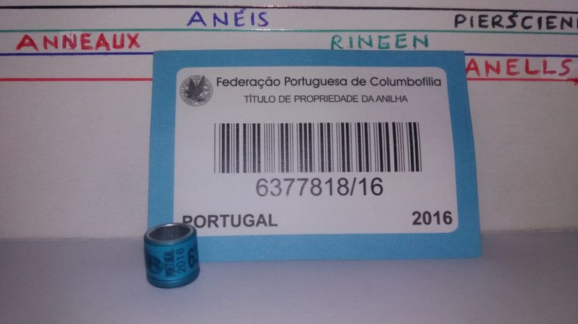  - Inele Portugalia - 51 piese