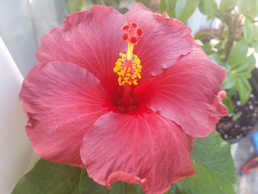 06-05-2017 - Electric blue