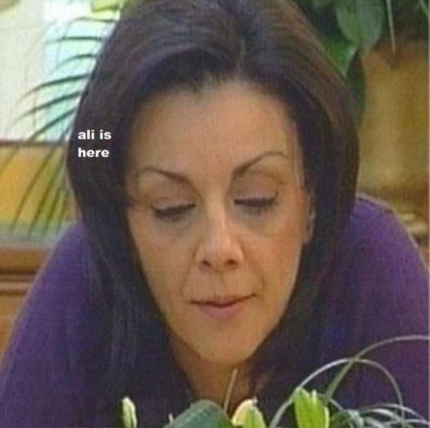 101964504_ZFWINNI - mara