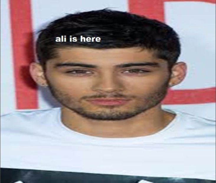 103750827_PWEHFGO - america - 4