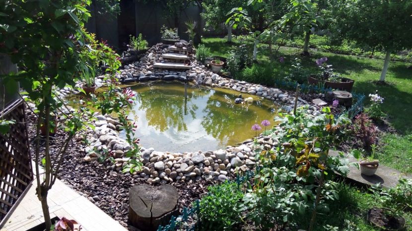 gr1,. - M 2017 Gradina cu Flori