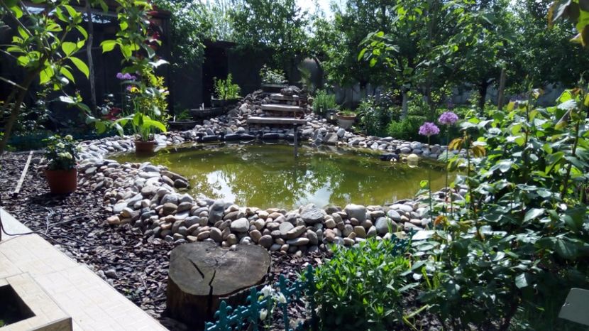 gr1. - M 2017 Gradina cu Flori