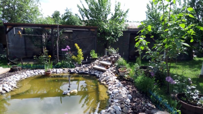 gr1.. - M 2017 Gradina cu Flori