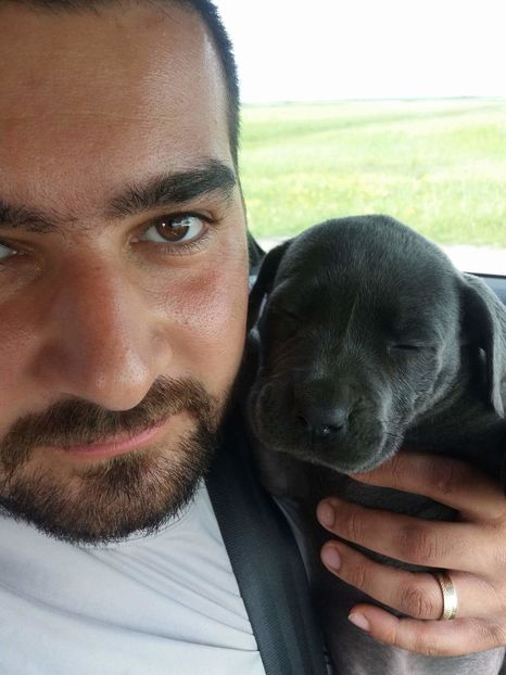 received_1375122995868350 - un nou membru