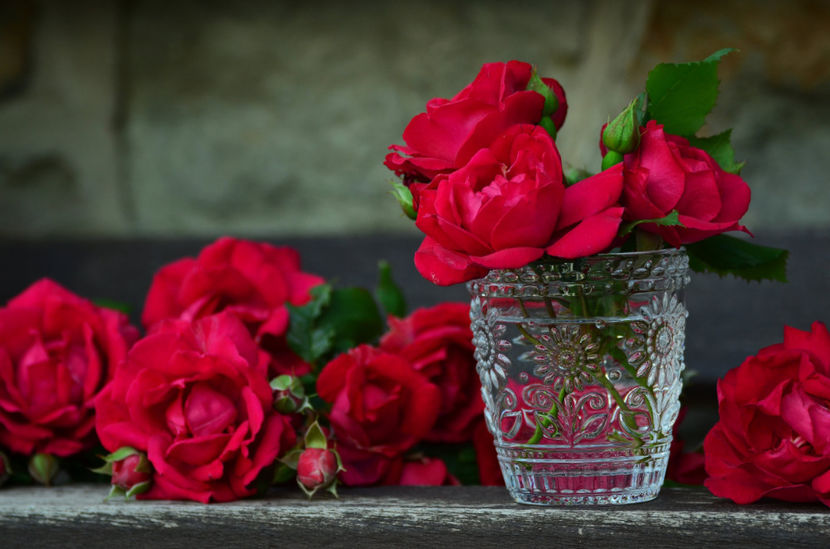 Imagini pentru good morning with sun - trandafiri2
