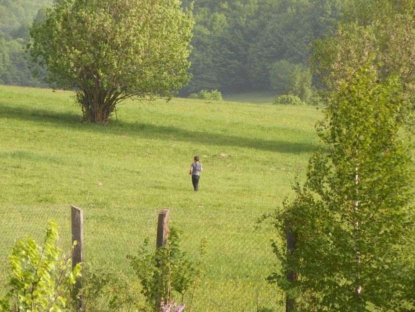 6 mai (108) - z-Dobarland 2017
