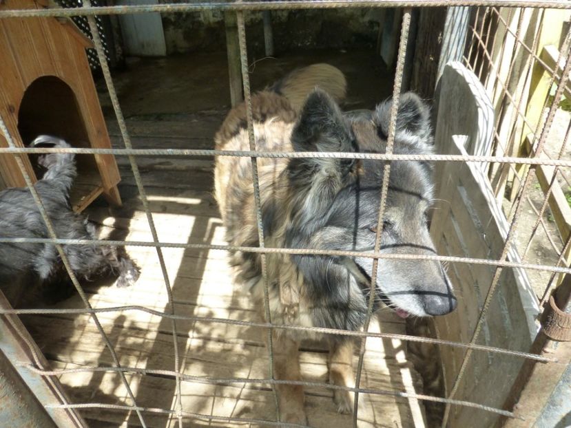 P1100029 - 003 07 05 2017