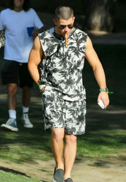 large (1) - nick jonas