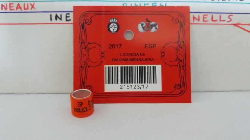  - Inele Spania - 38 piese