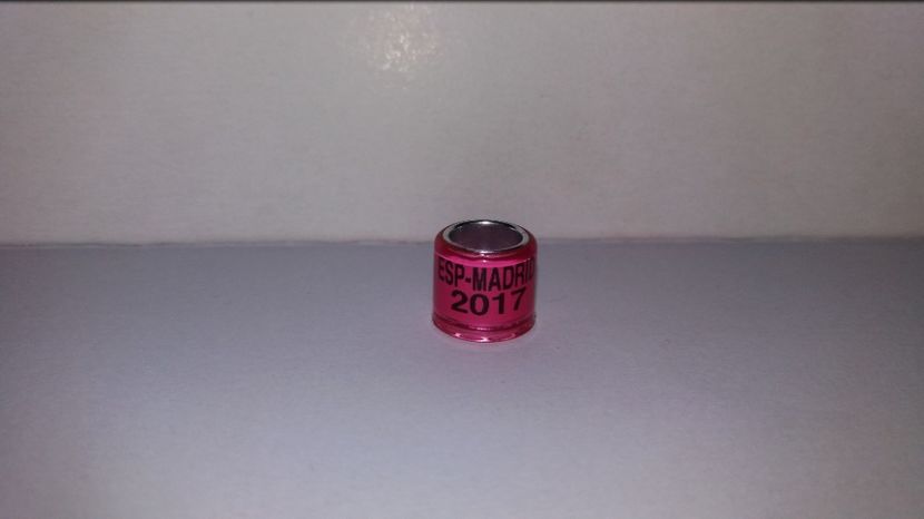 Neomologat / Fake - Inele Spania - 38 piese