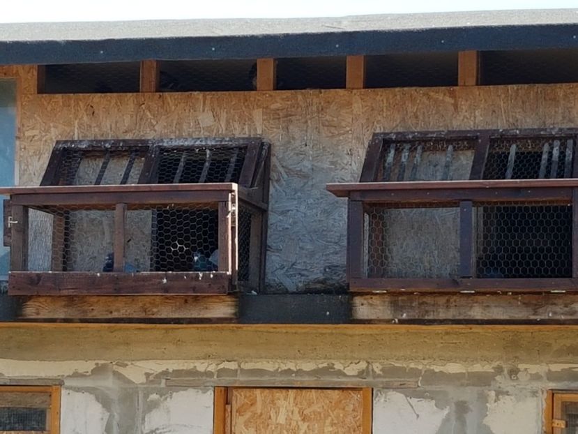 08 - Lotul de zbor 2017