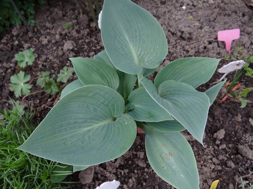 Lakeside Shoremaster - Zile de mai