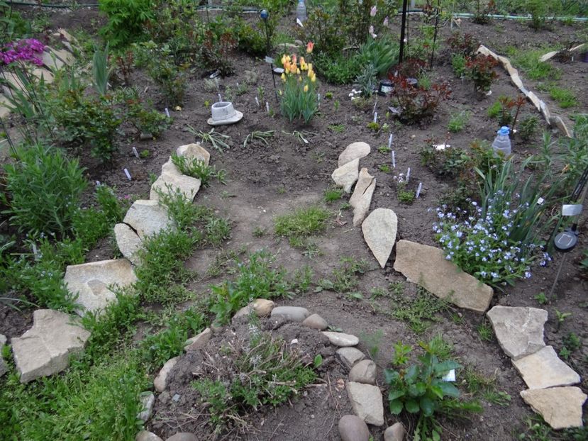 Middle Garden are noutati :) - Zile de mai