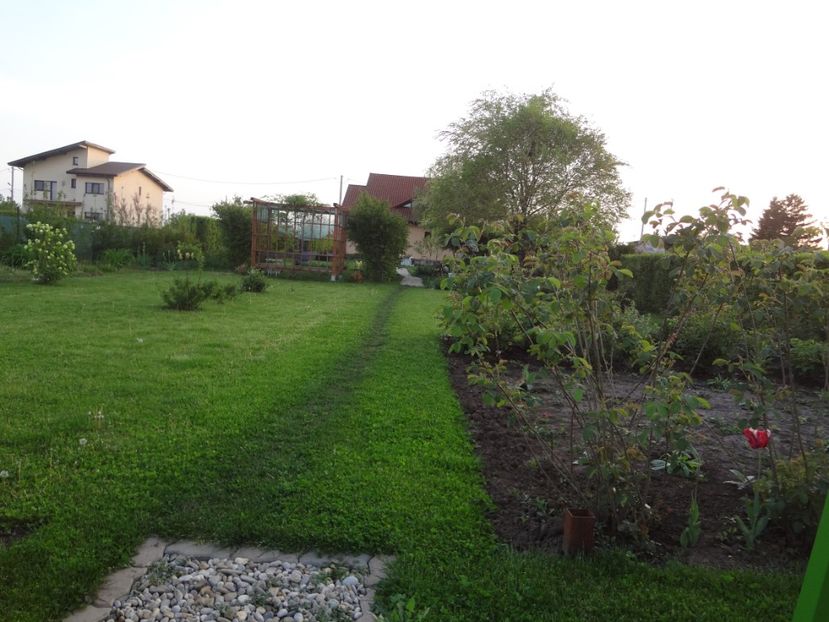ap foto 029 - Gradina mea 2017