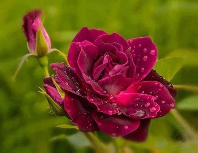  - La inceput de drum