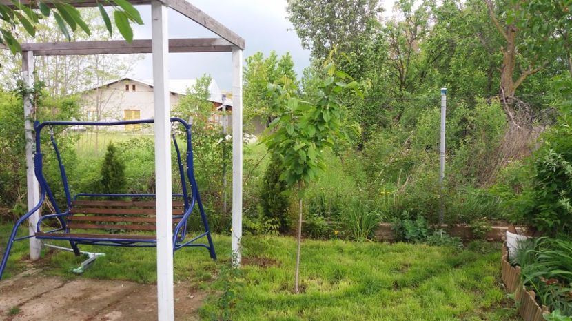  - De prin gradina 2017